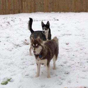 Meet your Posher, Lorraine